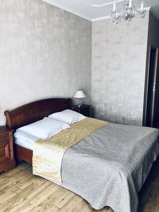 Отель Hotel Palace Ukraine Николаев Стандартный двухместный номер с 1 кроватью-6