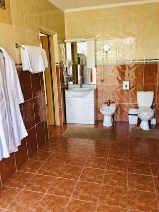 Отель Hotel Palace Ukraine Николаев Президентский люкс с сауной и гидромассажной ванной-2